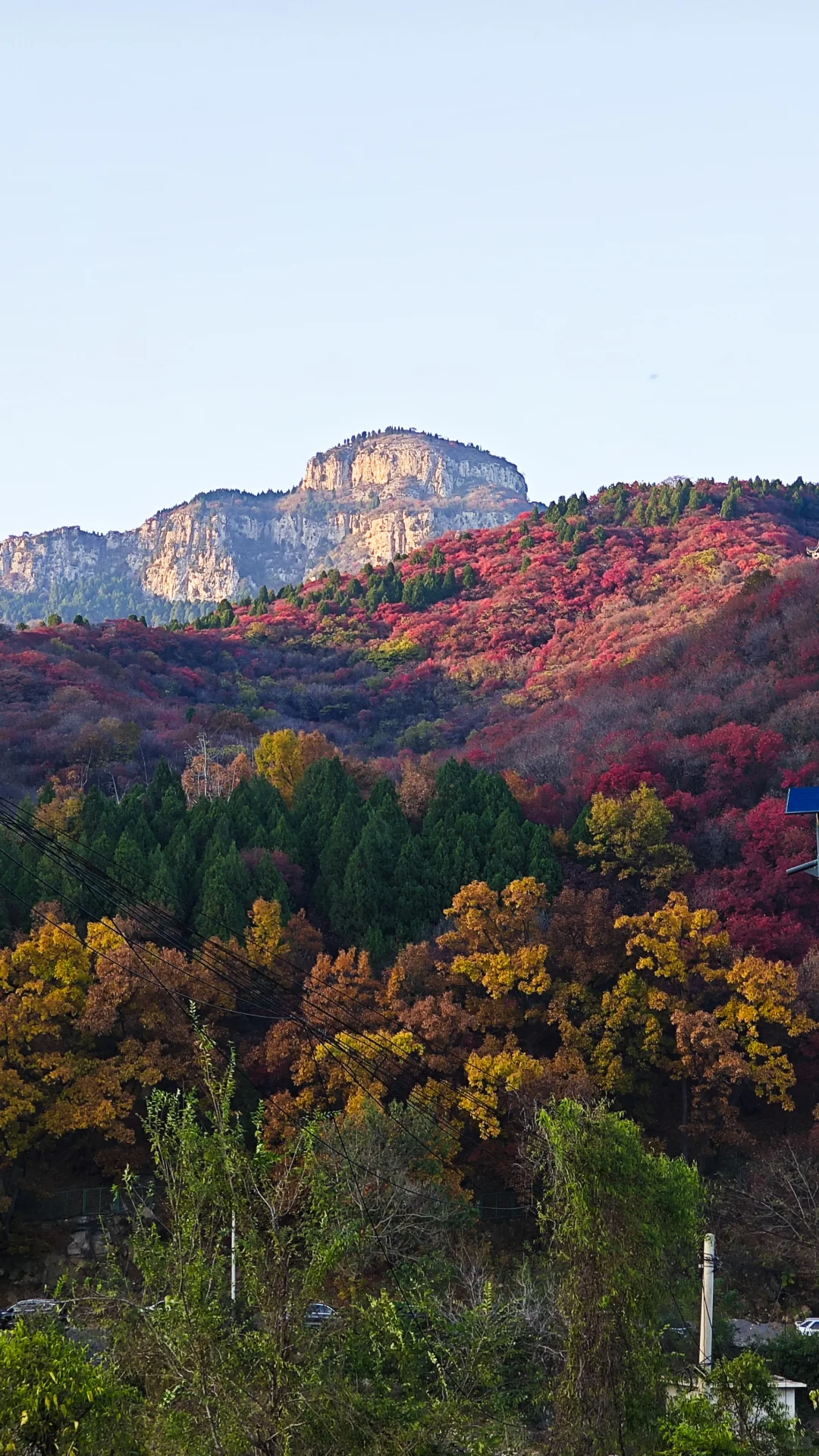 秋日绝美必去路线，济南小漓江红叶全攻略