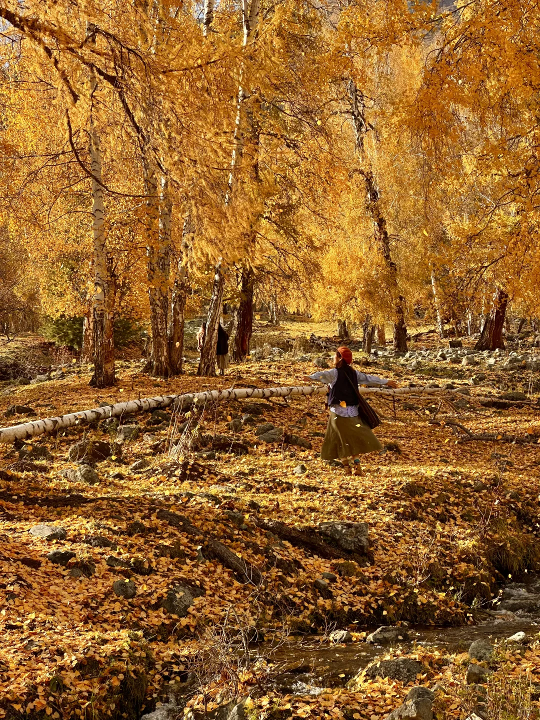 “我应该这辈子都忘不了阿勒泰的秋天了”