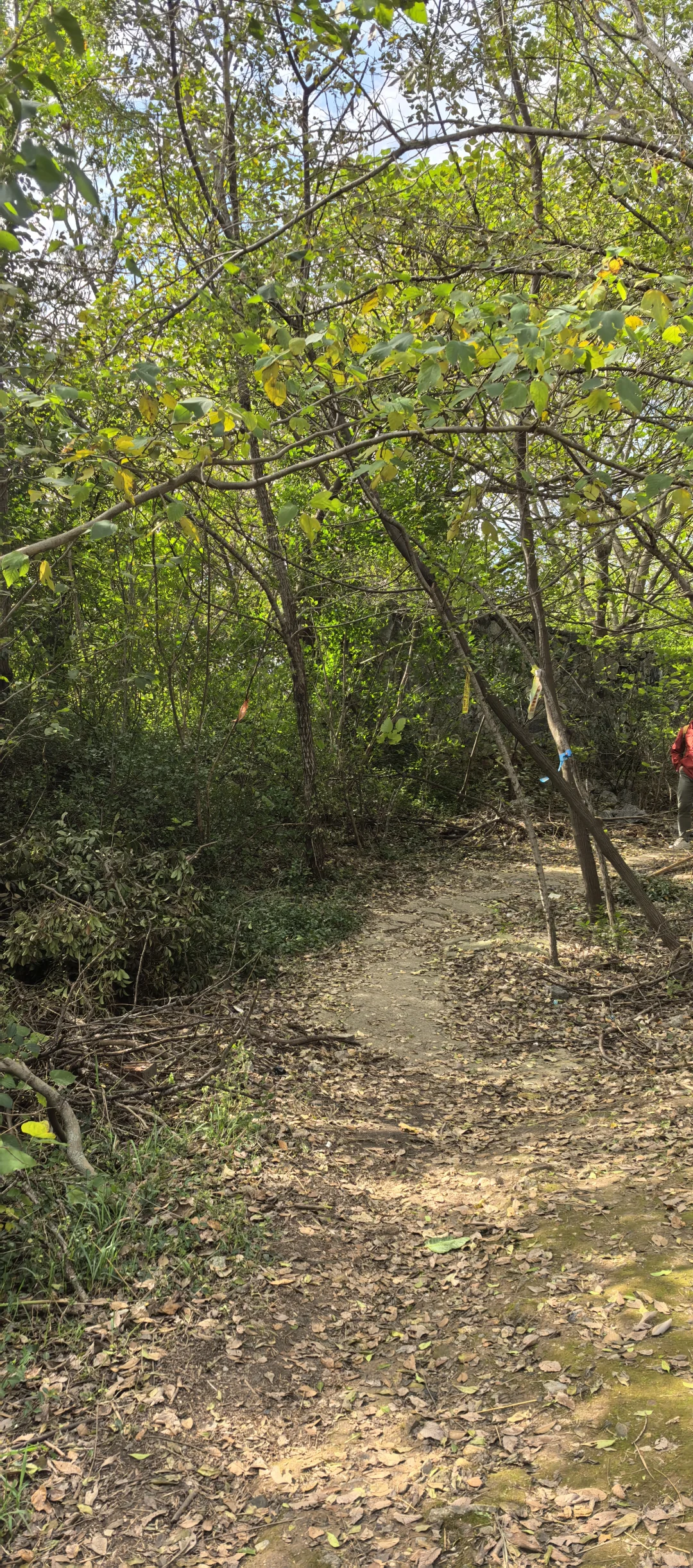 南山景区大裂谷小环线（免门票版）