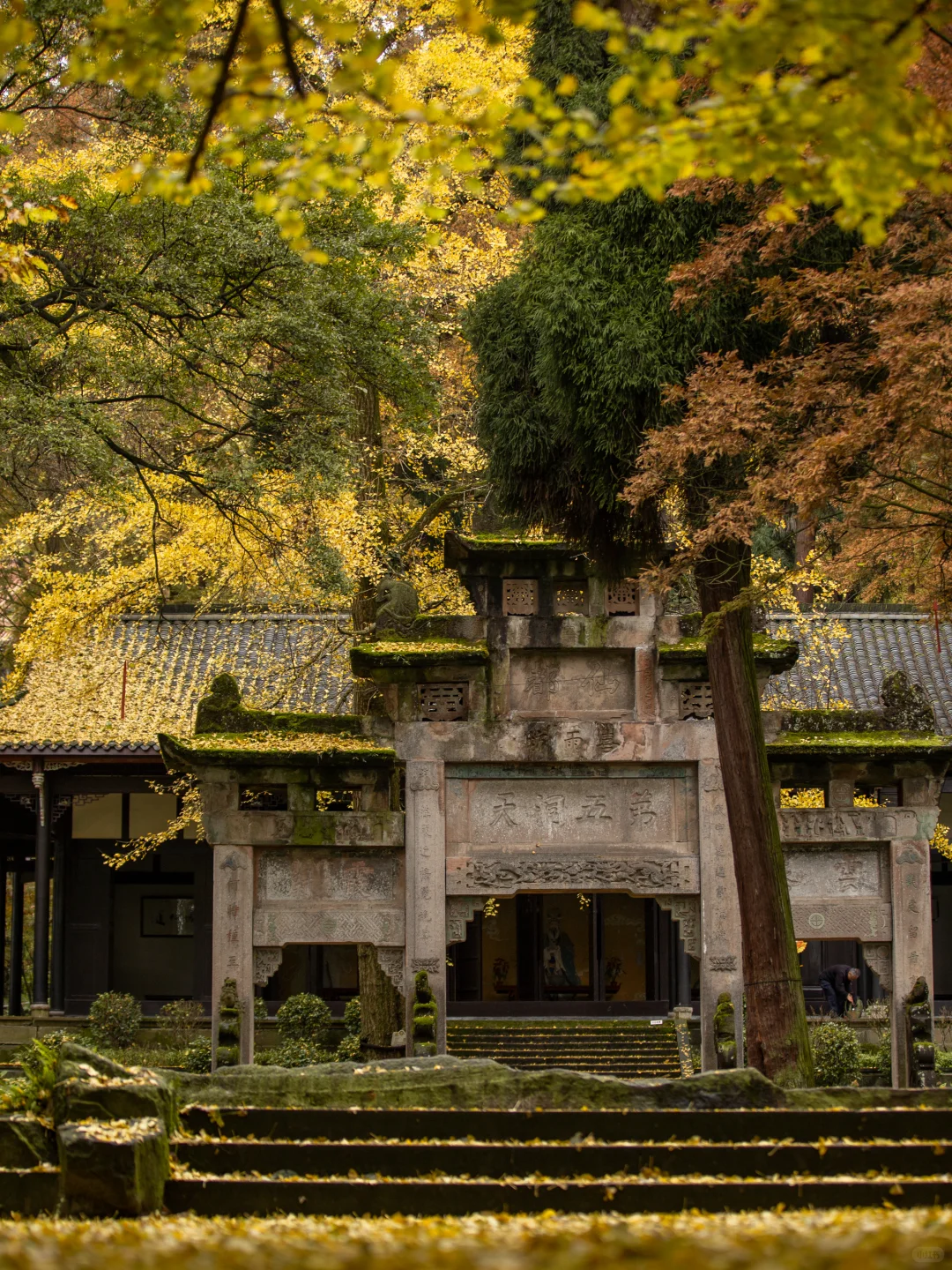 11.11实拍！灵岩寺的银杏浓度已100%！！