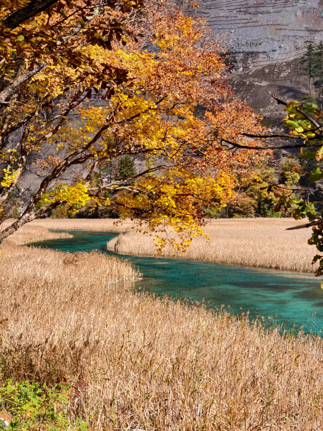 广州-九寨沟三天两夜攻略（超详细版）
