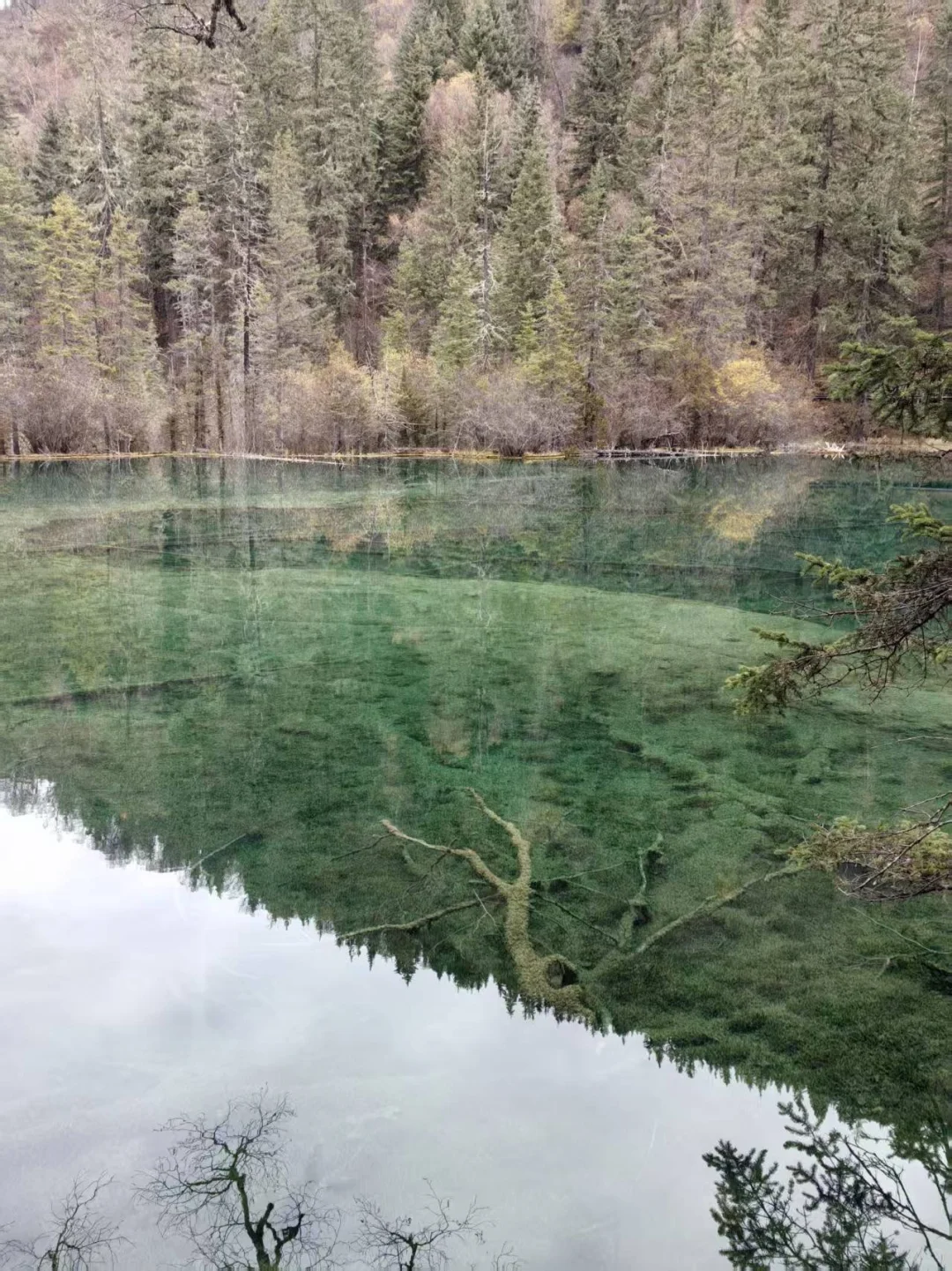 九寨沟县神仙池景区（四）