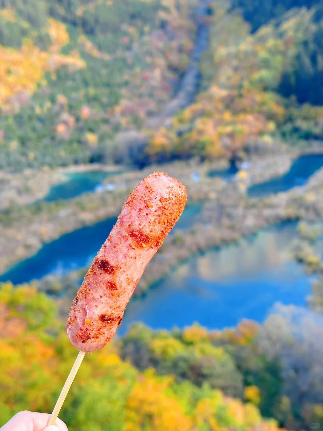 2025九寨沟,彩林最后的盛宴,明年再见👋🏻