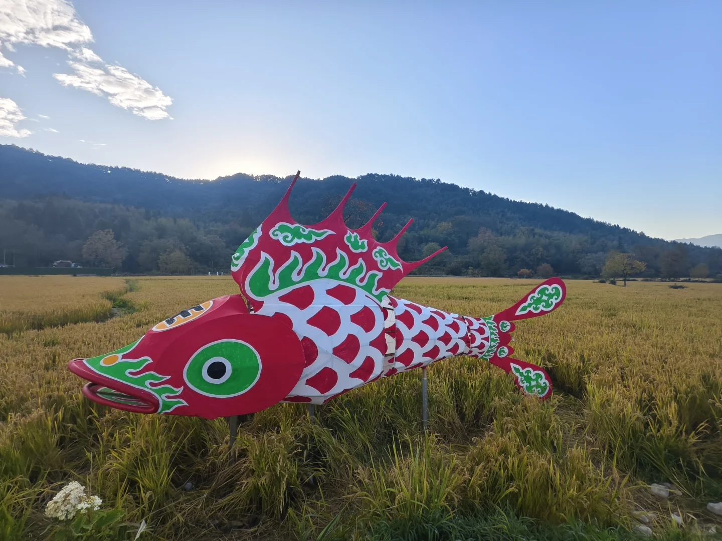 塔川的秋色美翻天～手机原图直出