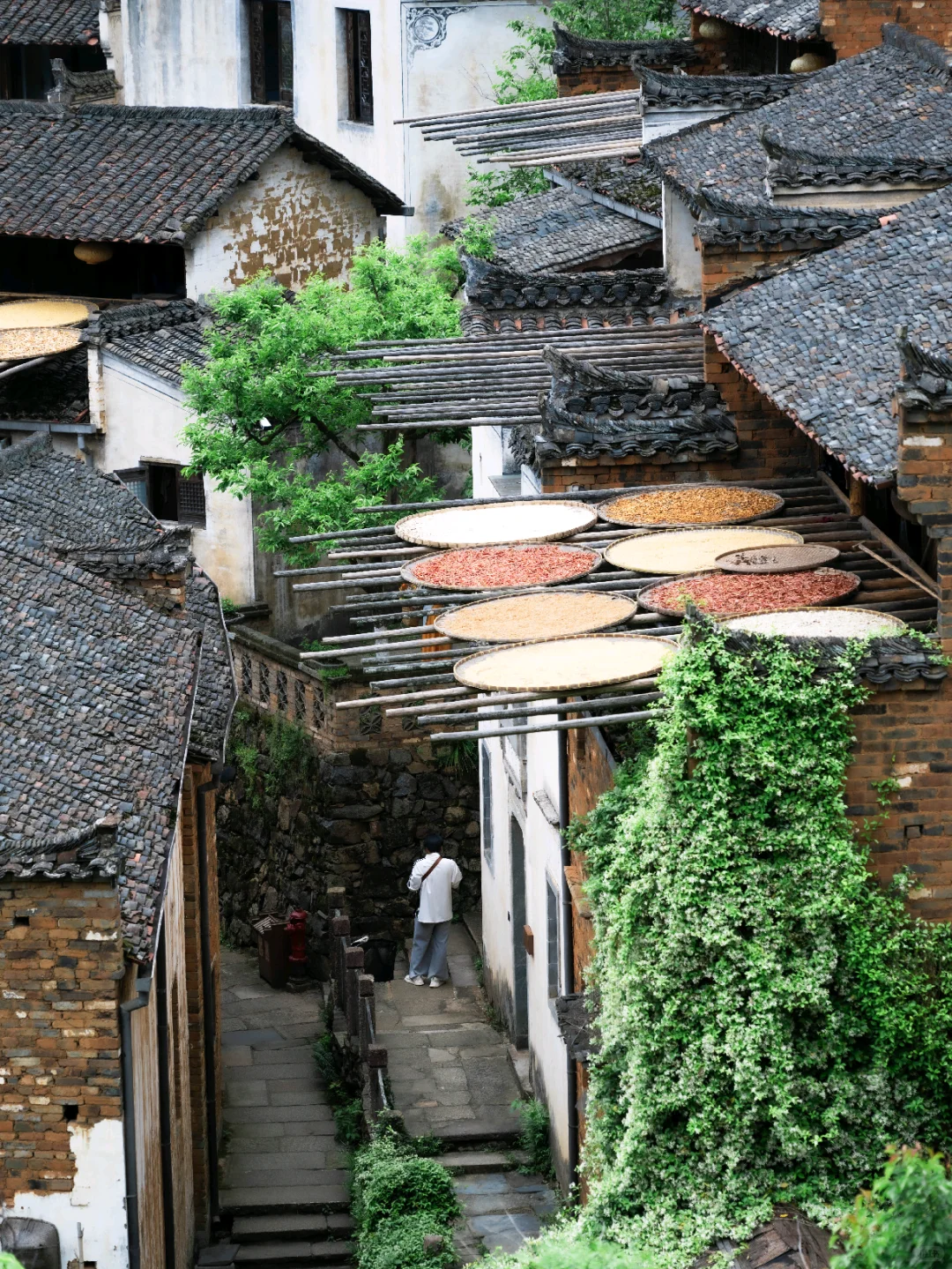 不卷晒秋了！4月的婺源 比想象更出片📸