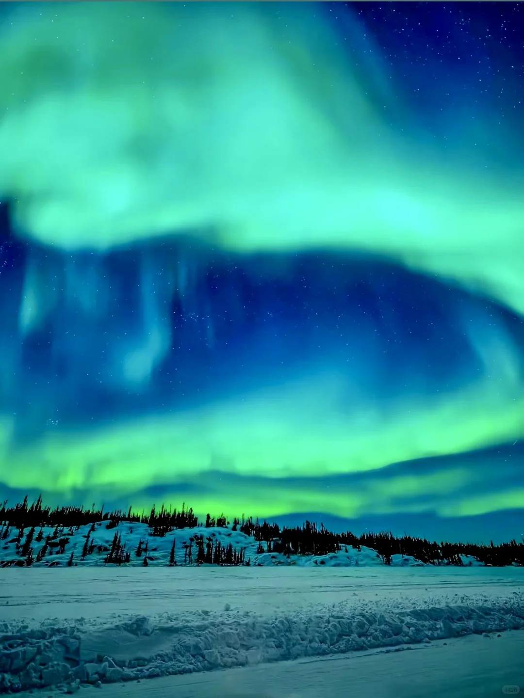 人生建议，一定要在11-2月去漠河看一次极光