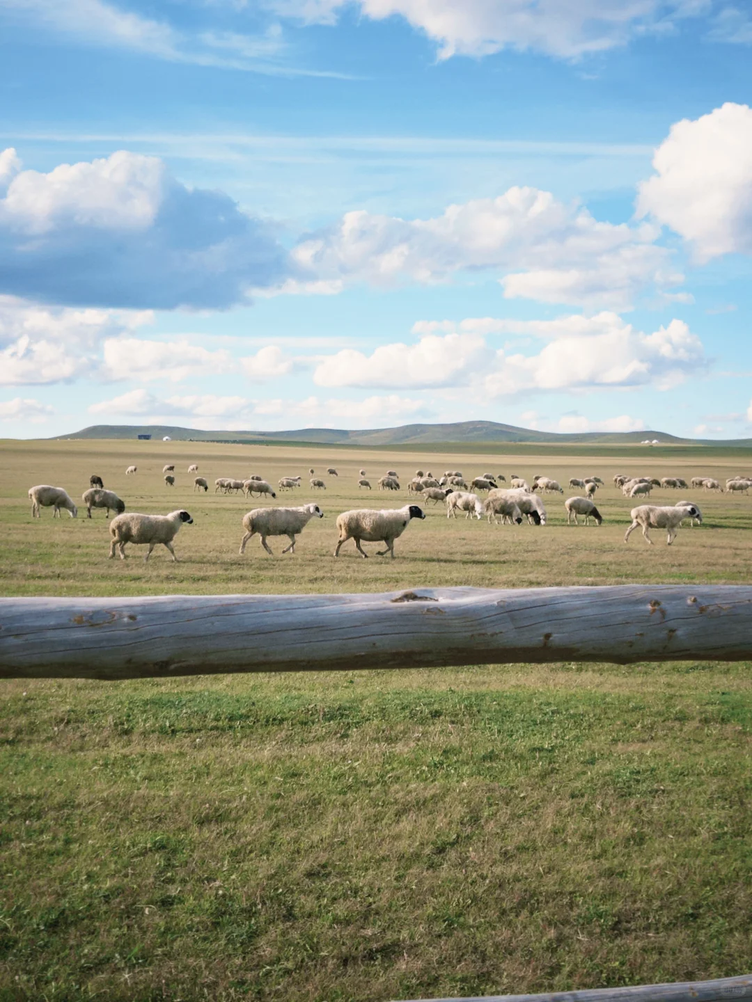内蒙古莫日格勒河｜原来秋天能有这么多颜色