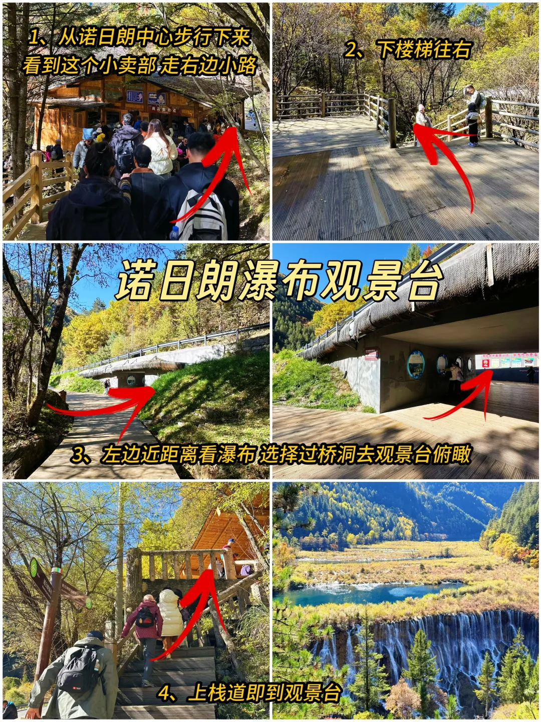 2025九寨沟,彩林最后的盛宴,明年再见👋🏻