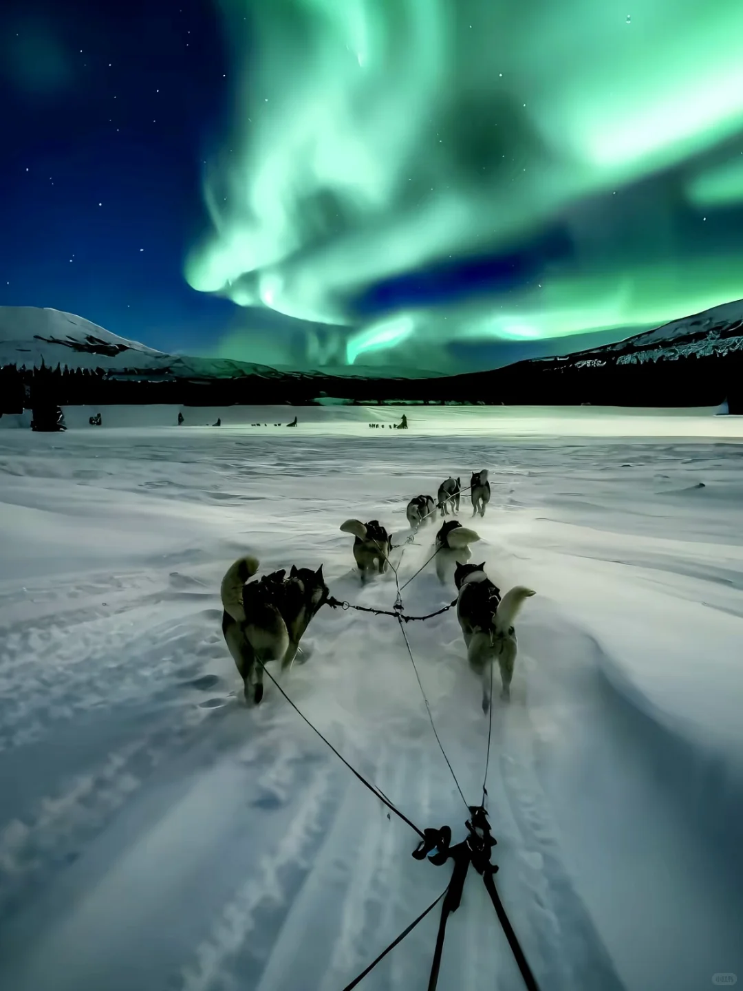 人生建议，一定要在11-2月去漠河看一次极光