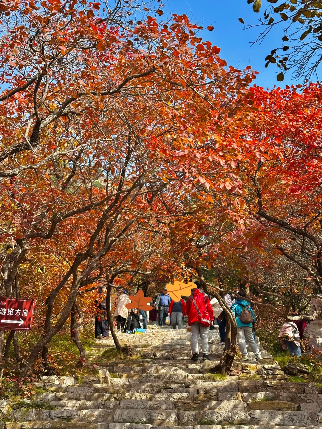 10.27实况！！石门坊红叶浓度已达99.999%