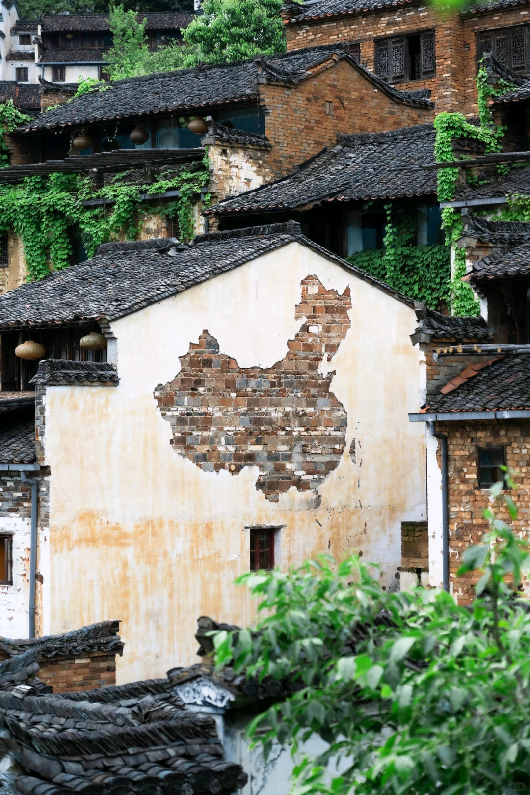 不卷晒秋了！4月的婺源 比想象更出片📸
