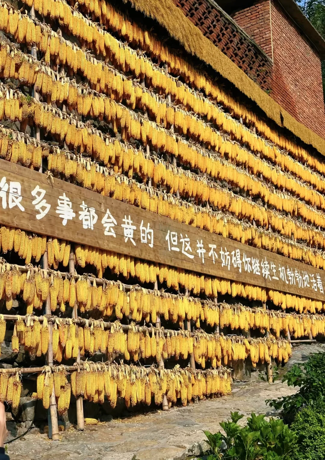 淄博 | 山东“小婺源”的秋天🍂🍁