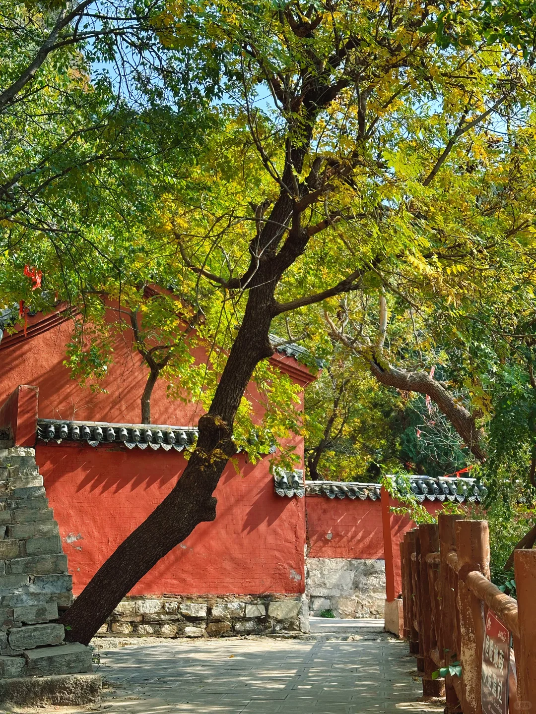 10.27实况!!石门坊红叶浓度已达99.999%