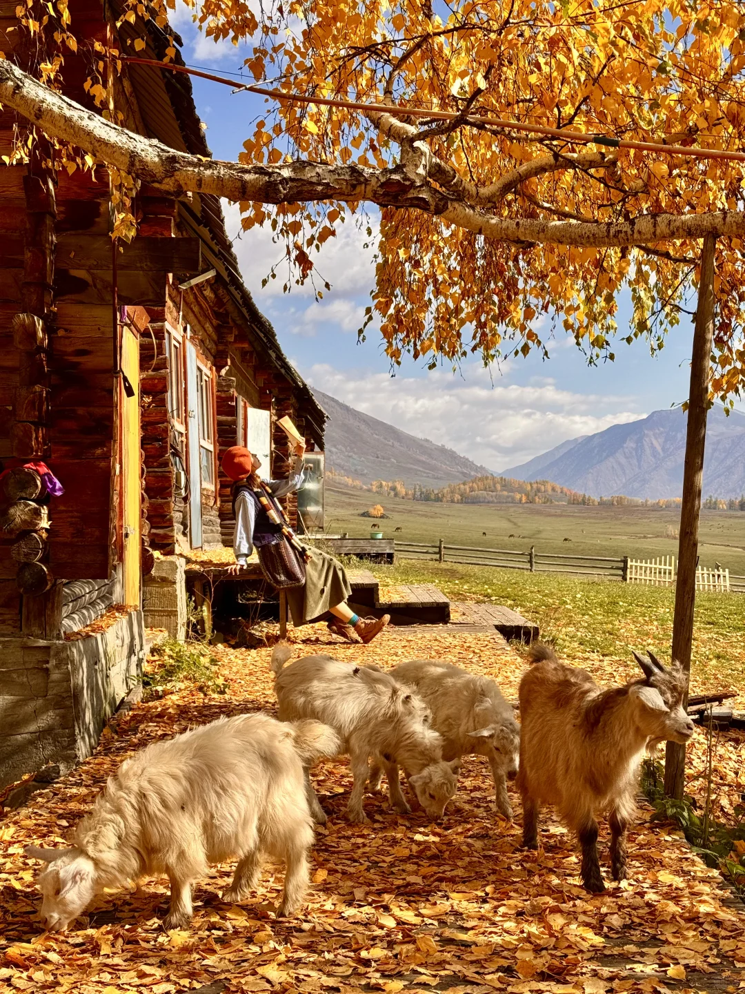 “我应该这辈子都忘不了阿勒泰的秋天了”