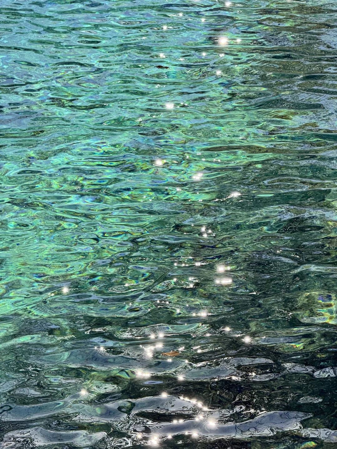 2025九寨沟,彩林最后的盛宴,明年再见👋🏻