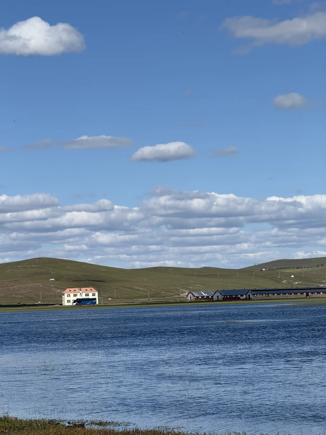 内蒙古莫日格勒河｜原来秋天能有这么多颜色