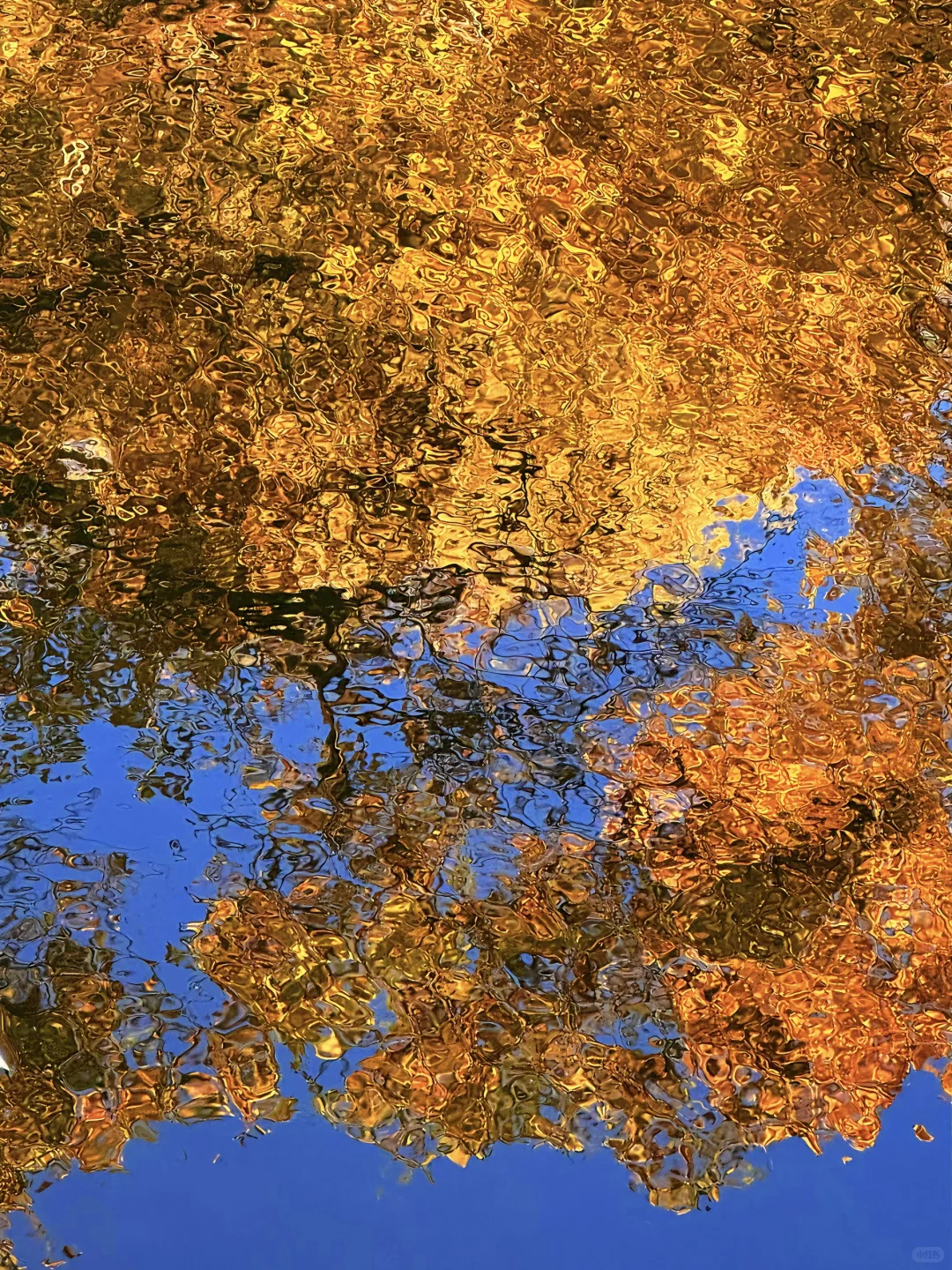 为了这18张图奔赴北平的秋天!📍附位置