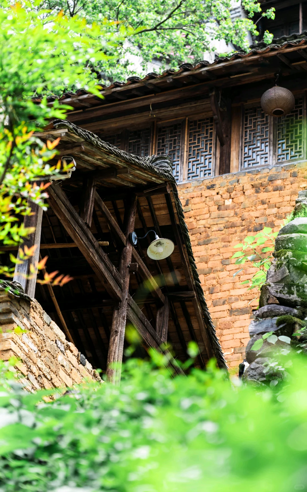 不卷晒秋了！4月的婺源 比想象更出片📸