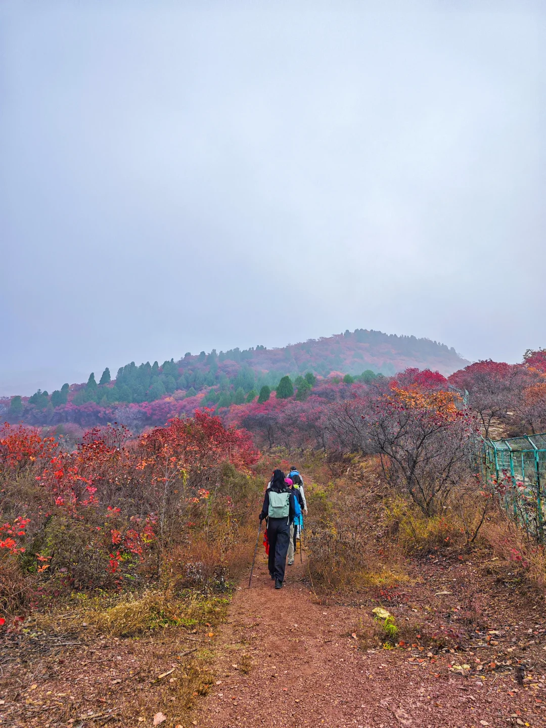 秋日绝美必去路线，济南小漓江红叶全攻略