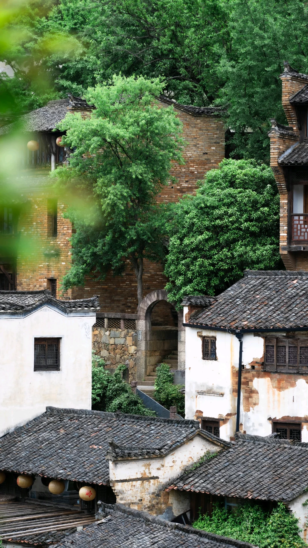 不卷晒秋了！4月的婺源 比想象更出片📸