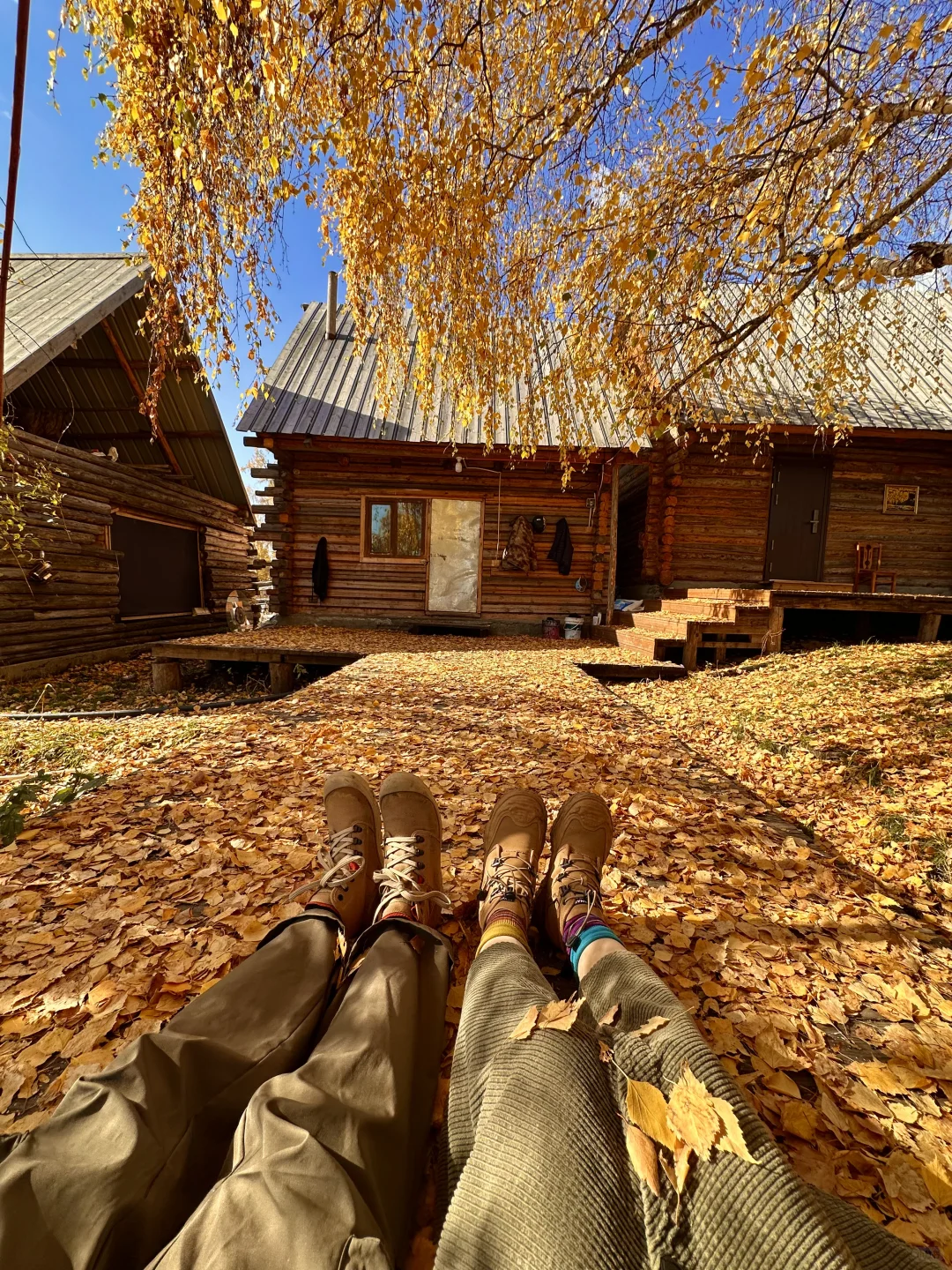 “我应该这辈子都忘不了阿勒泰的秋天了”