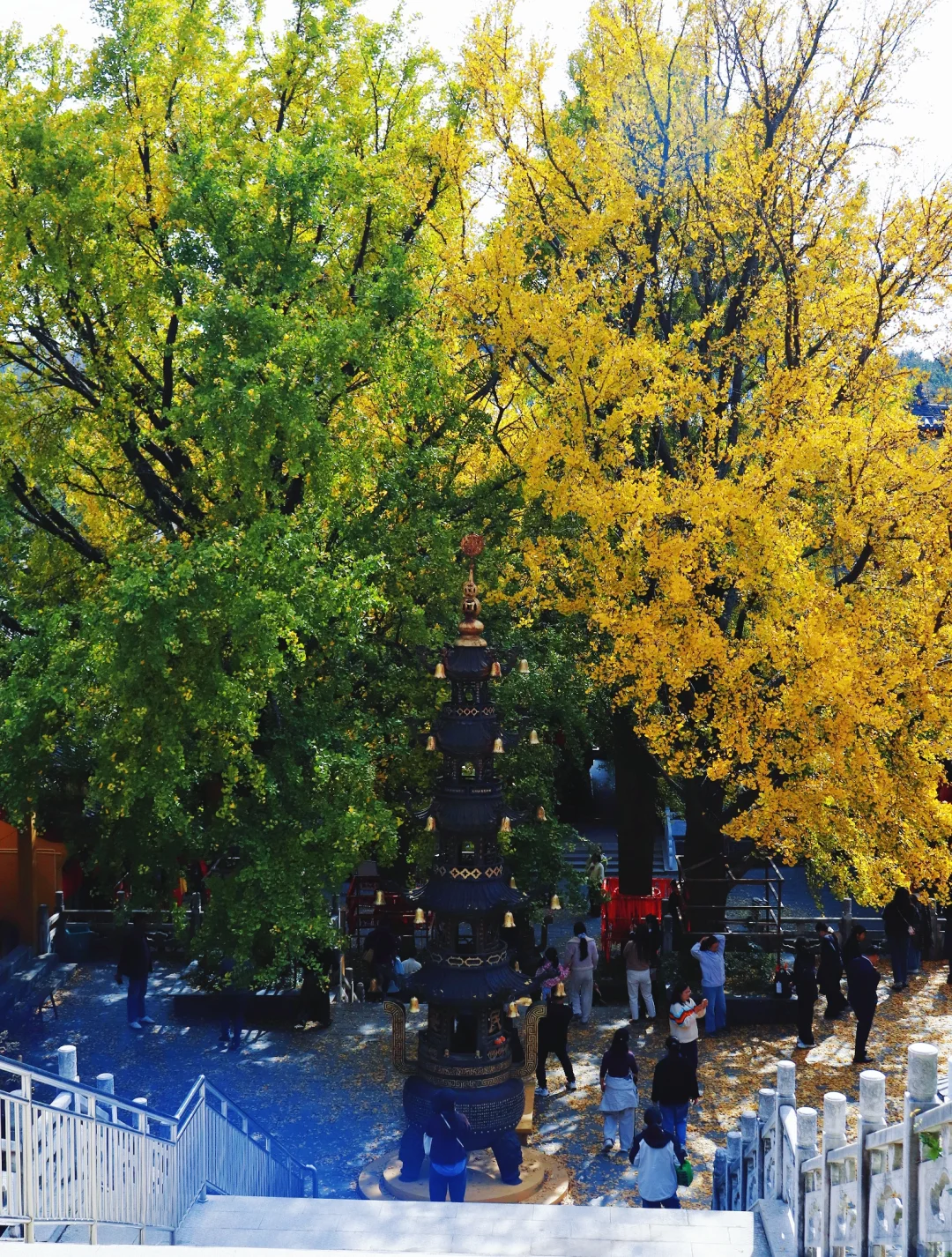 南山景区大裂谷小环线（免门票版）