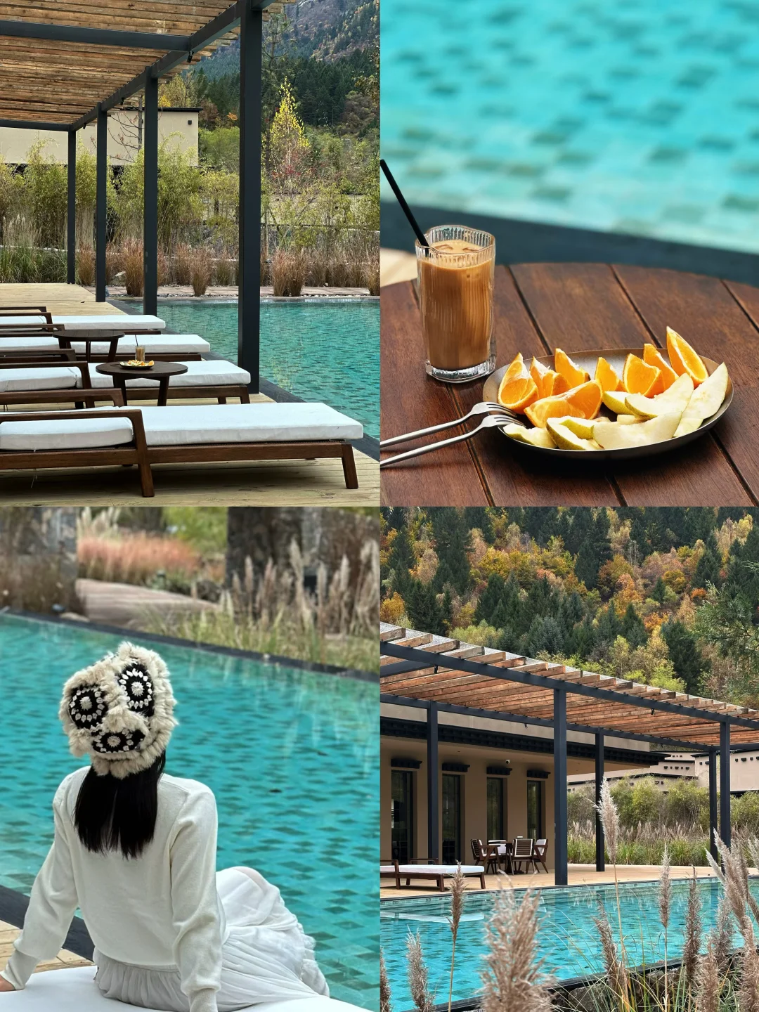 2025九寨沟,彩林最后的盛宴,明年再见👋🏻