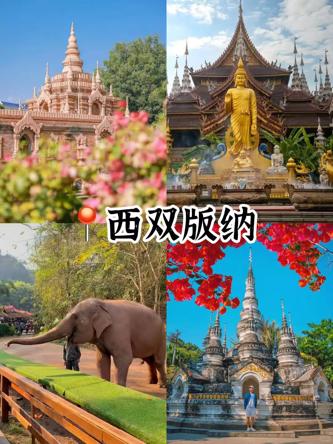 🔥挑战❗️云南这么好你都去过哪⁉️