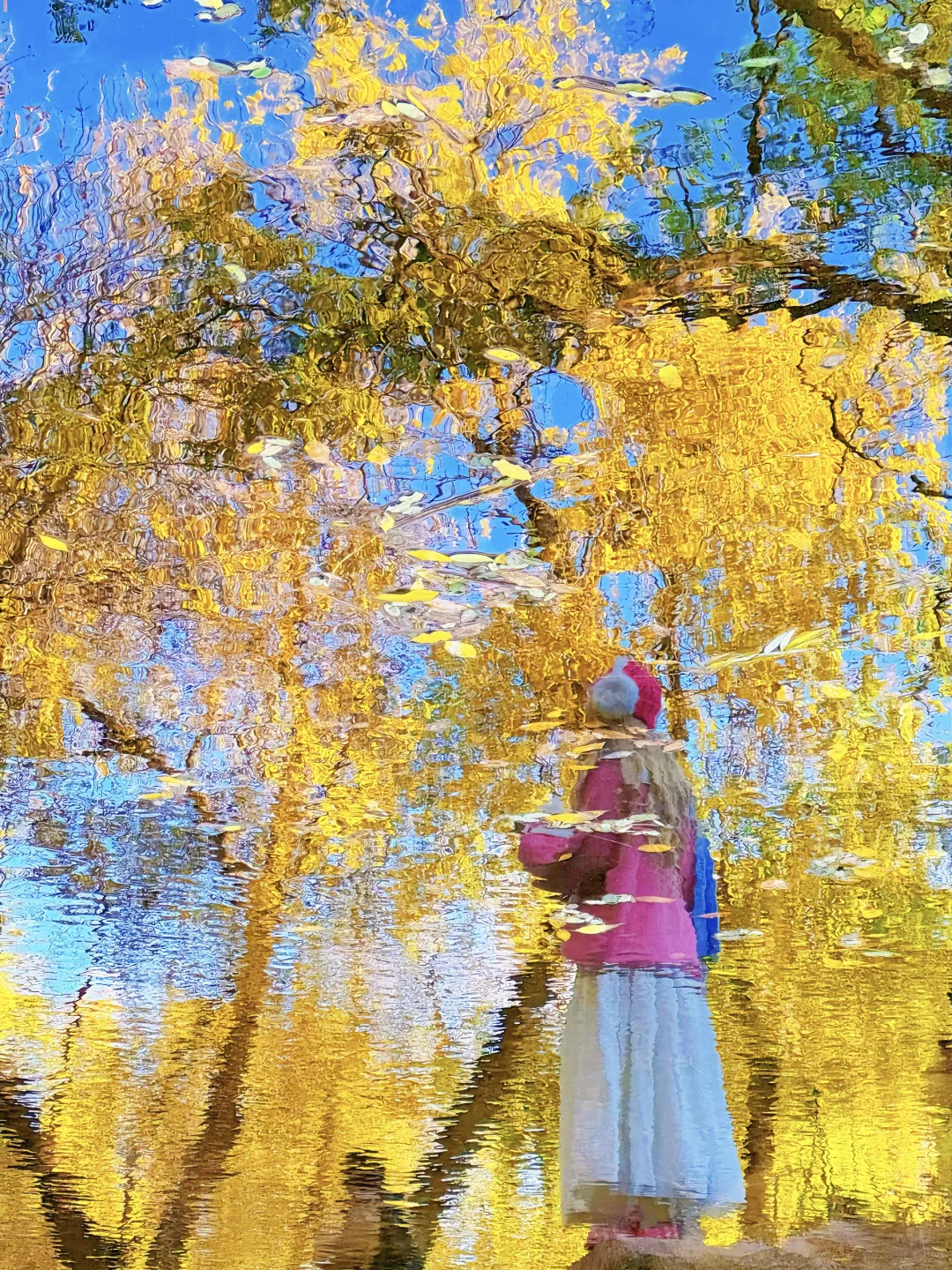 为了这18张图奔赴北平的秋天!📍附位置