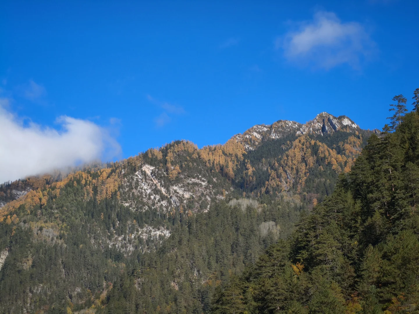 广州-九寨沟三天两夜攻略（一人勇闯版）