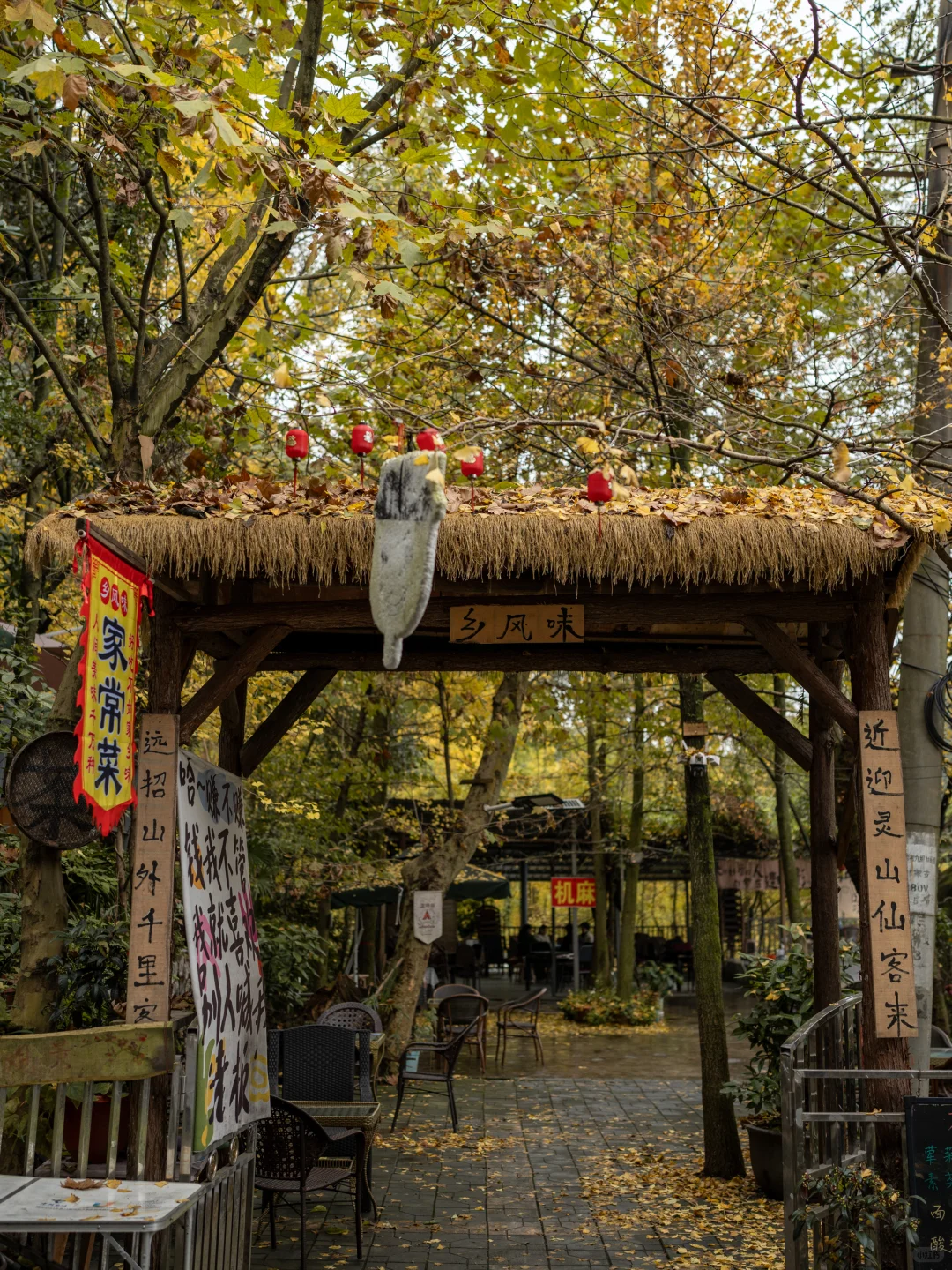 11.11实拍！灵岩寺的银杏浓度已100%！！