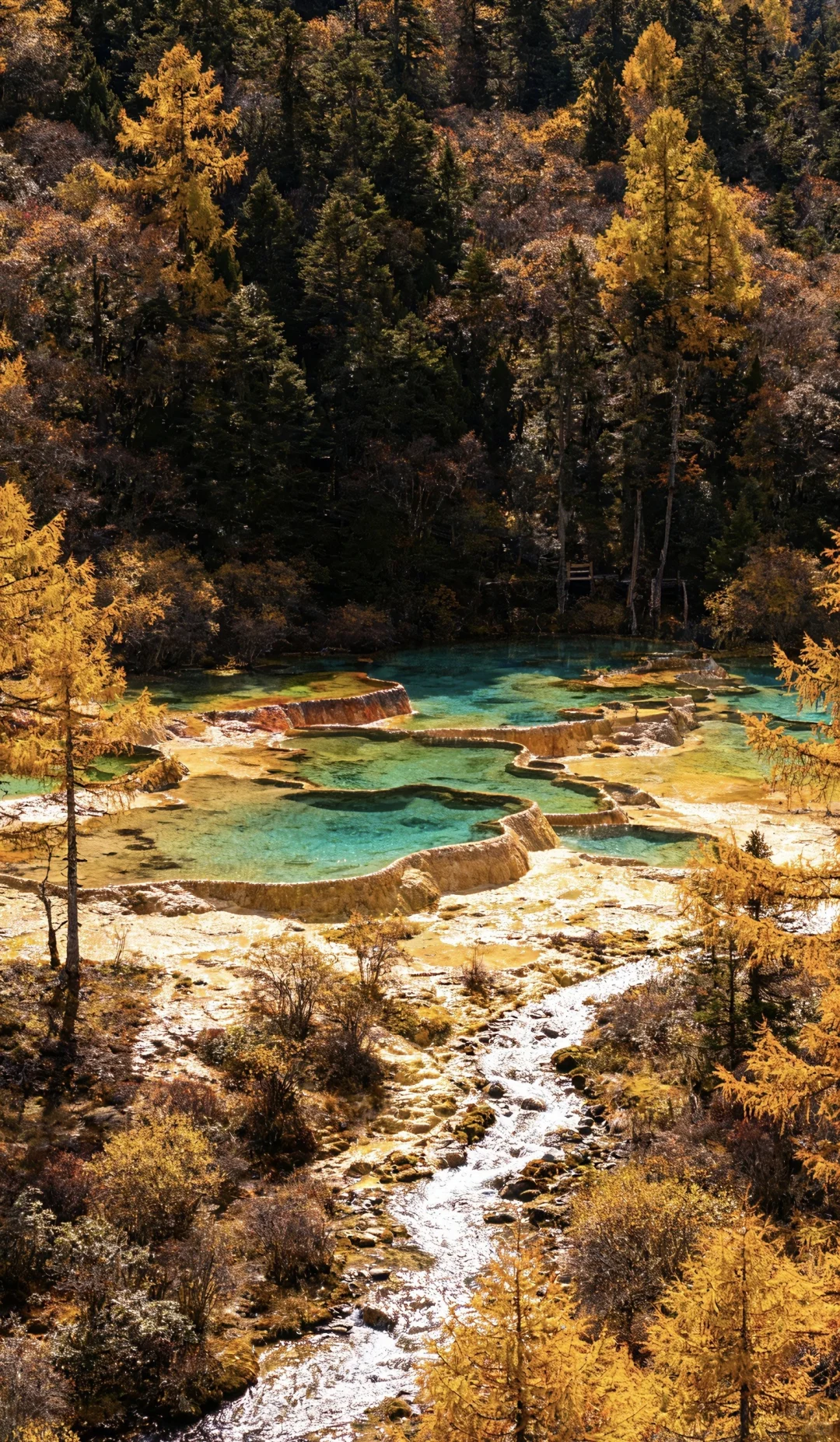 如果一生只去一次九寨沟 ，那一定是秋天！！