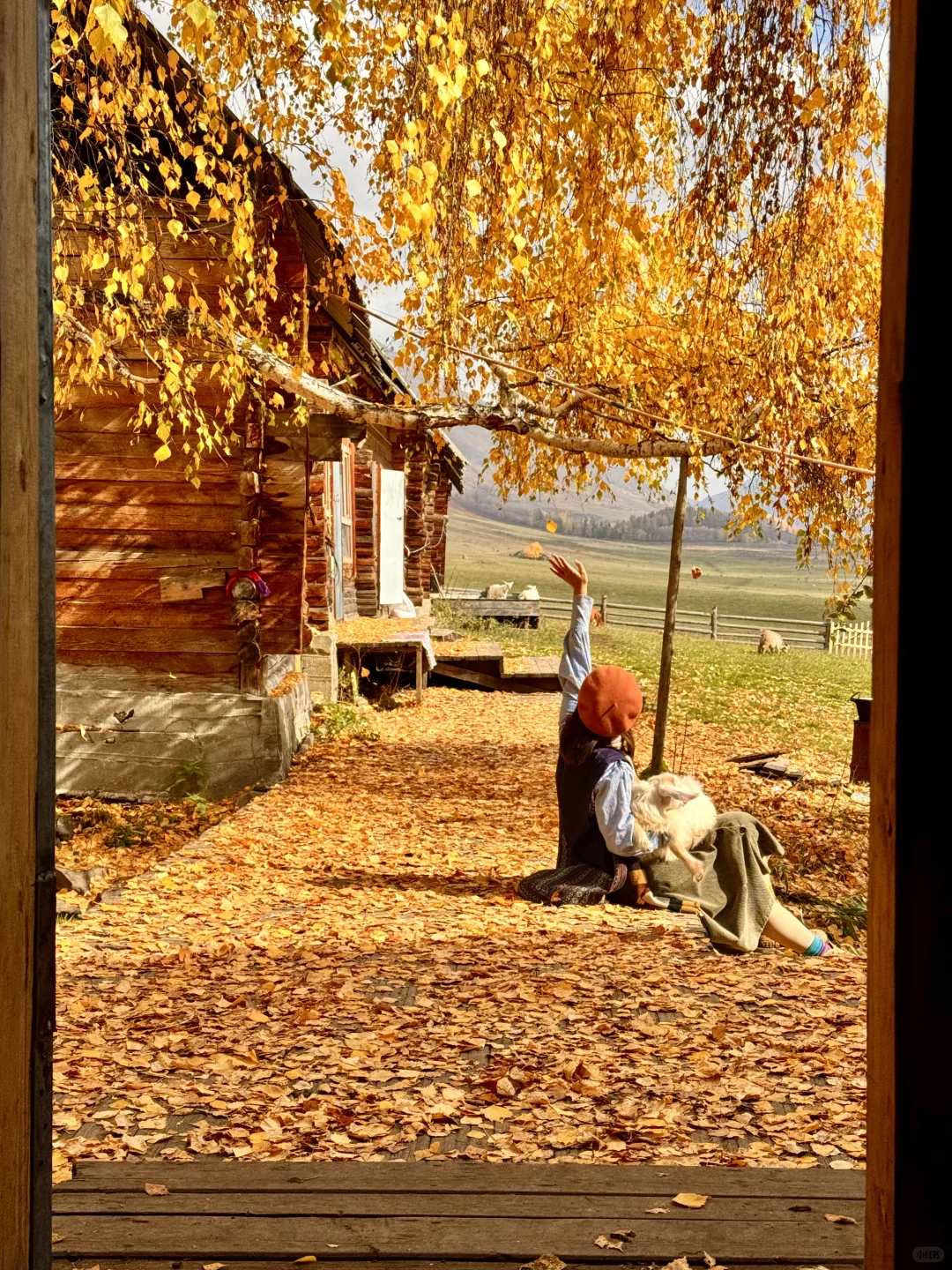 “我应该这辈子都忘不了阿勒泰的秋天了”