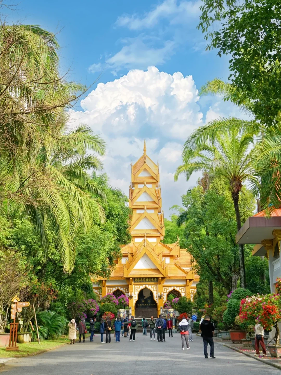 云南|腾冲+瑞丽+芒市8天旅游攻略✅