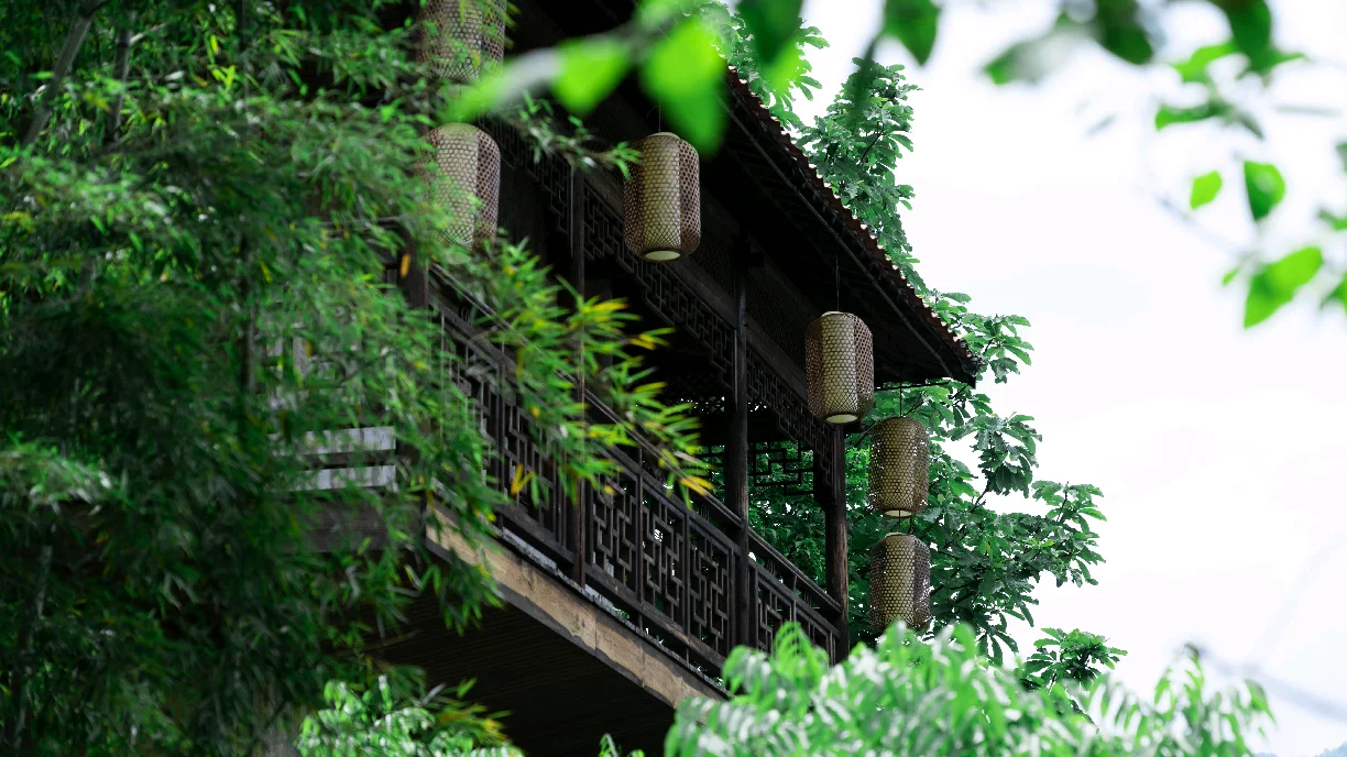 不卷晒秋了！4月的婺源 比想象更出片📸