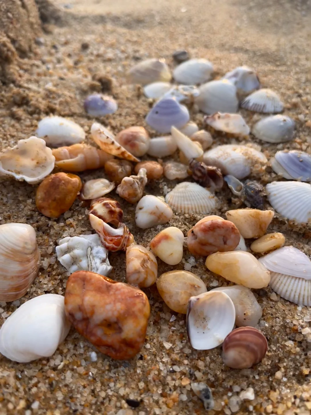 寒假去广西崇左,一点不累,比迪士尼还好玩