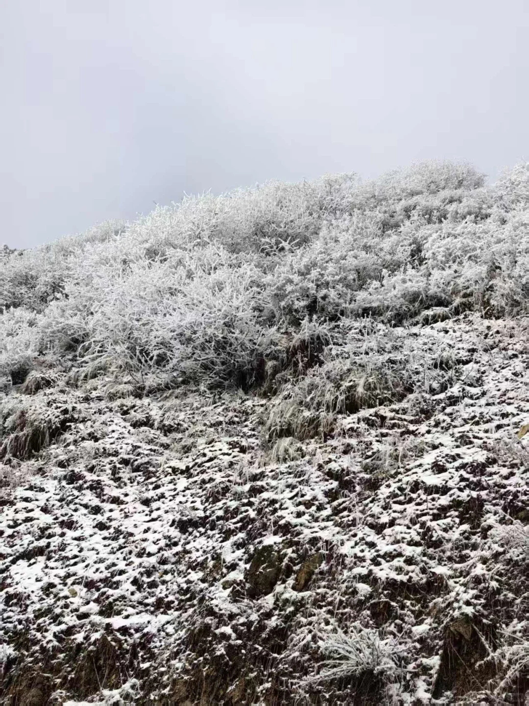 九寨沟县神仙池景区(五)