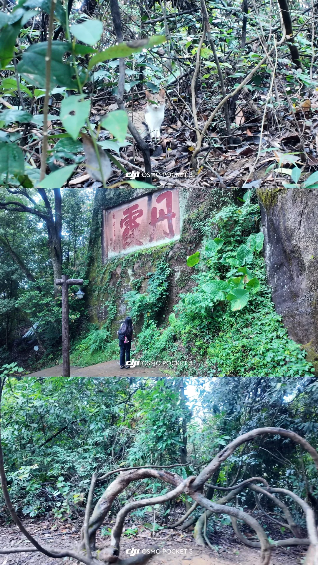 懒人福音！丹霞山这样玩 不累还能刷爆朋友圈