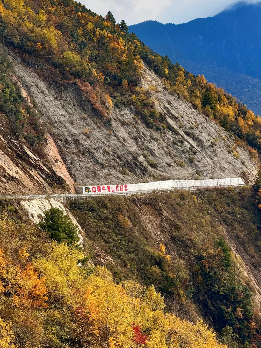 春秋假活动来啦！一起来牛背山赏彩林观雪山