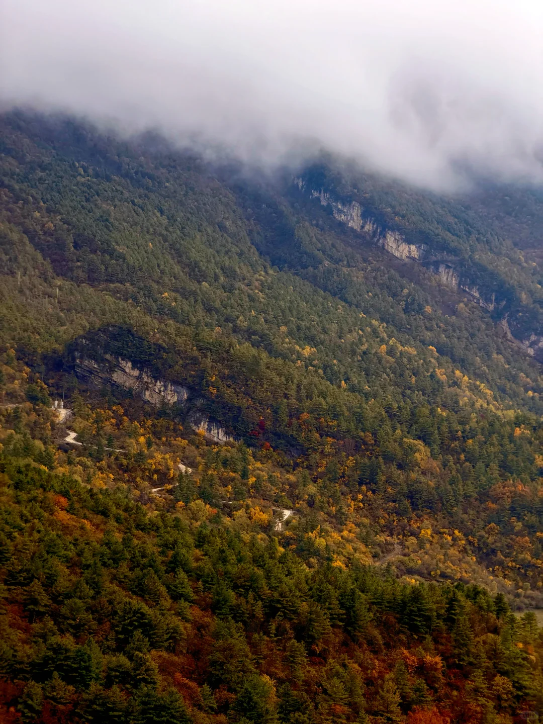 春秋假活动来啦！一起来牛背山赏彩林观雪山