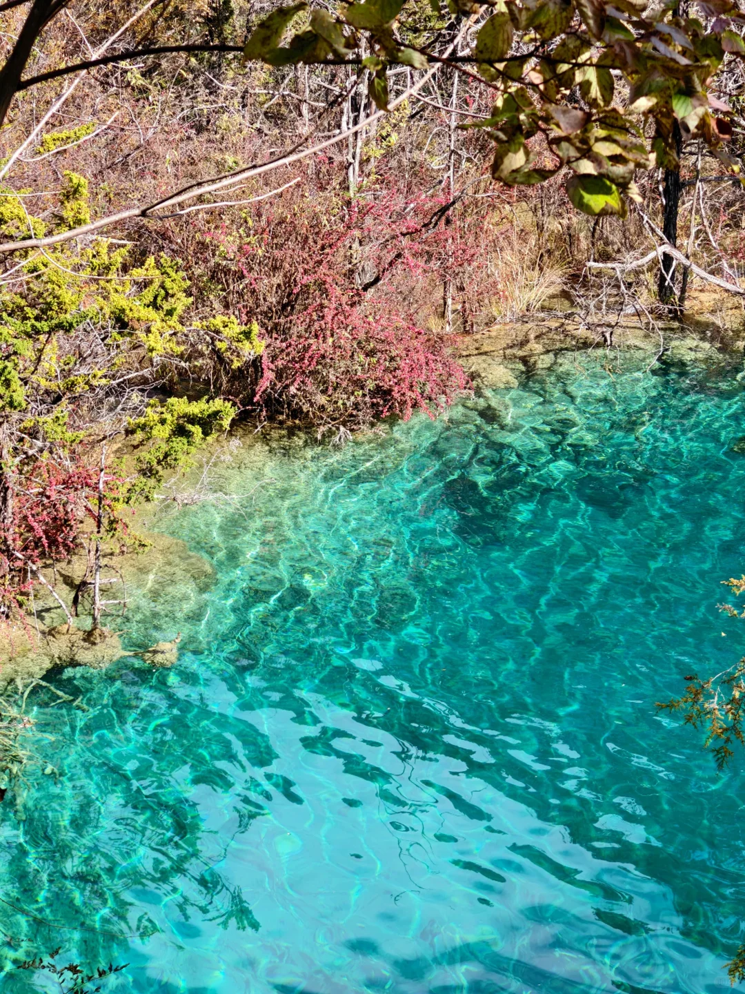 广州-九寨沟三天两夜攻略（超详细版）