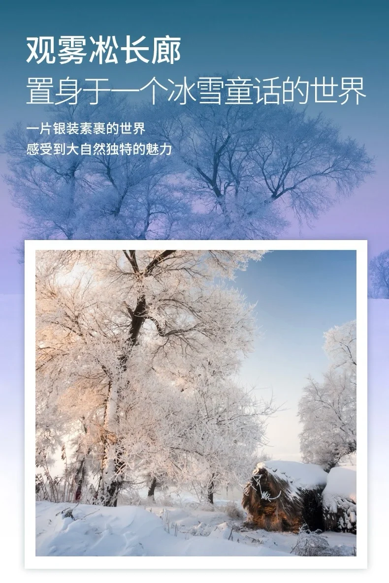 东北秘境4日｜查干湖冬捕·老白山雪村·年味之