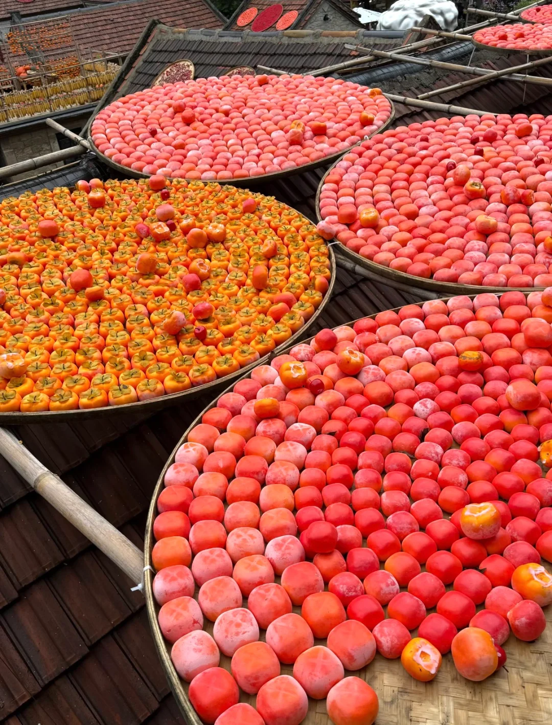 淄博 | 山东“小婺源”的秋天🍂🍁