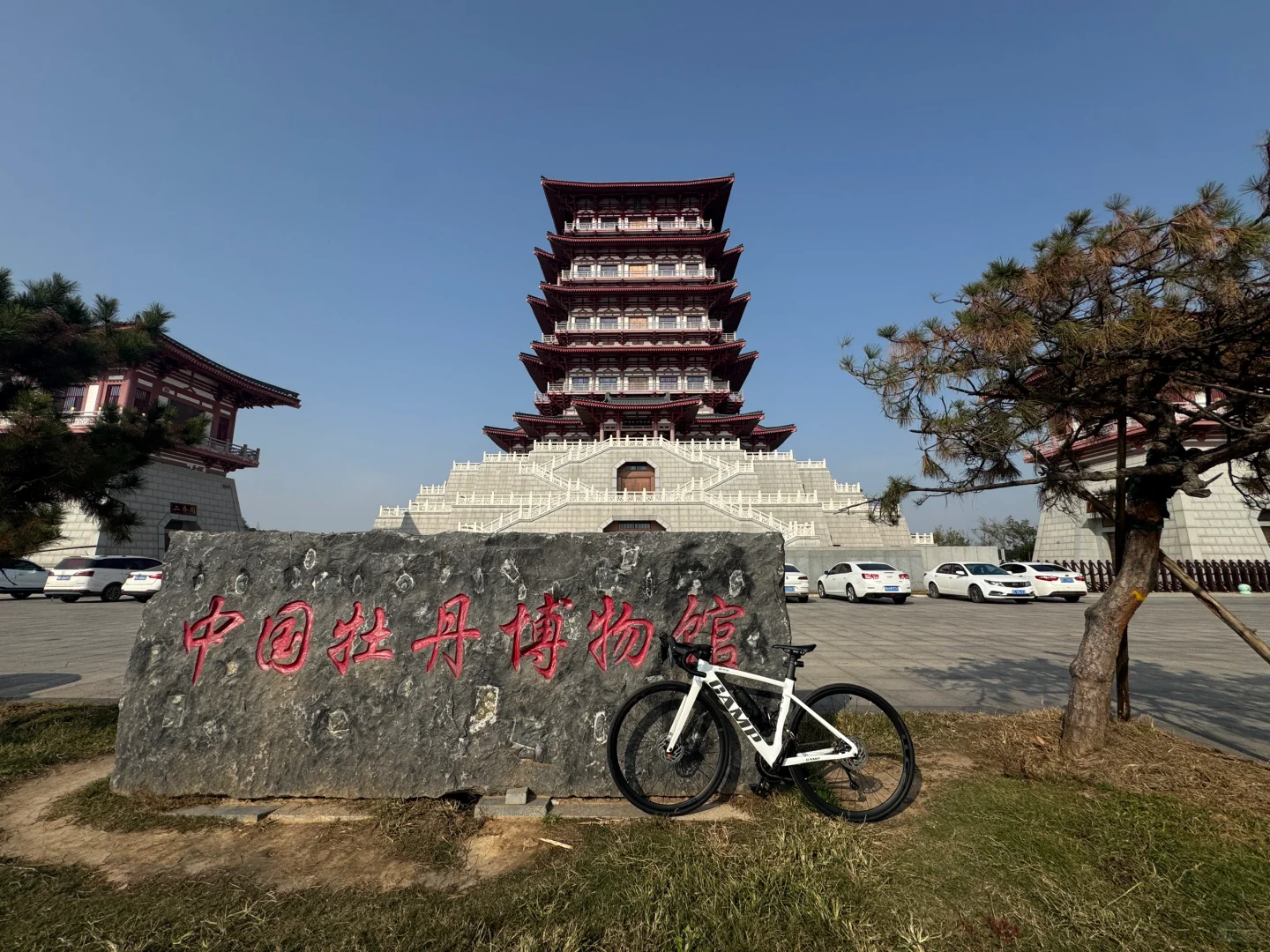 冬日骑行牡丹阁 “登顶成功”🏅