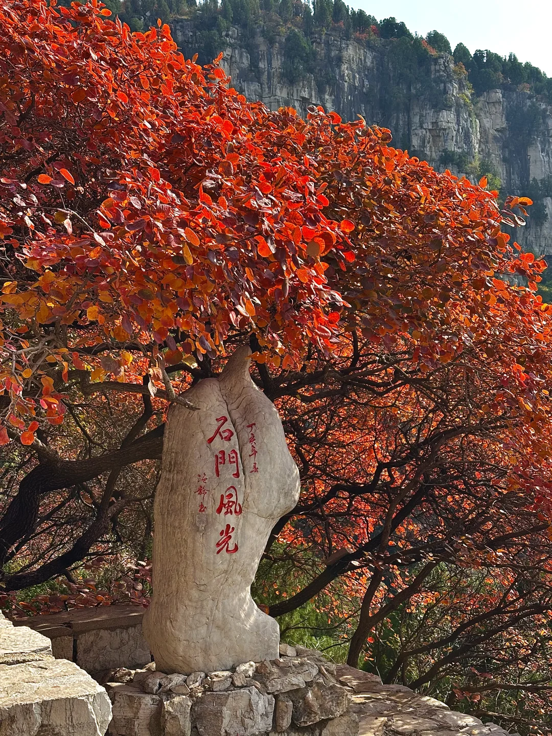 10.27实况！！石门坊红叶浓度已达99.999%