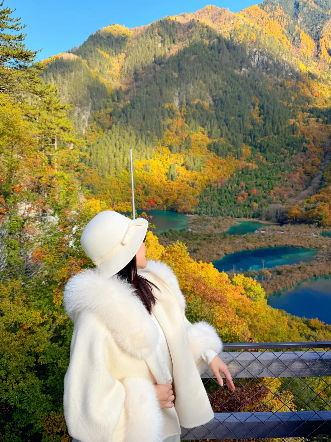 2025九寨沟,彩林最后的盛宴,明年再见👋🏻