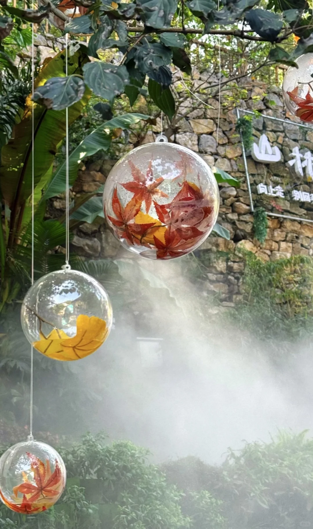 淄博 | 山东“小婺源”的秋天🍂🍁