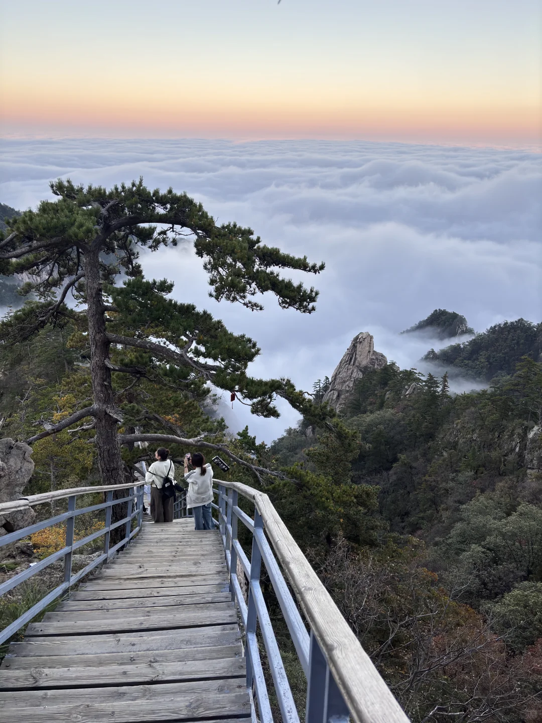 河南不宣传这个山真的糊涂！没有热度但绝美
