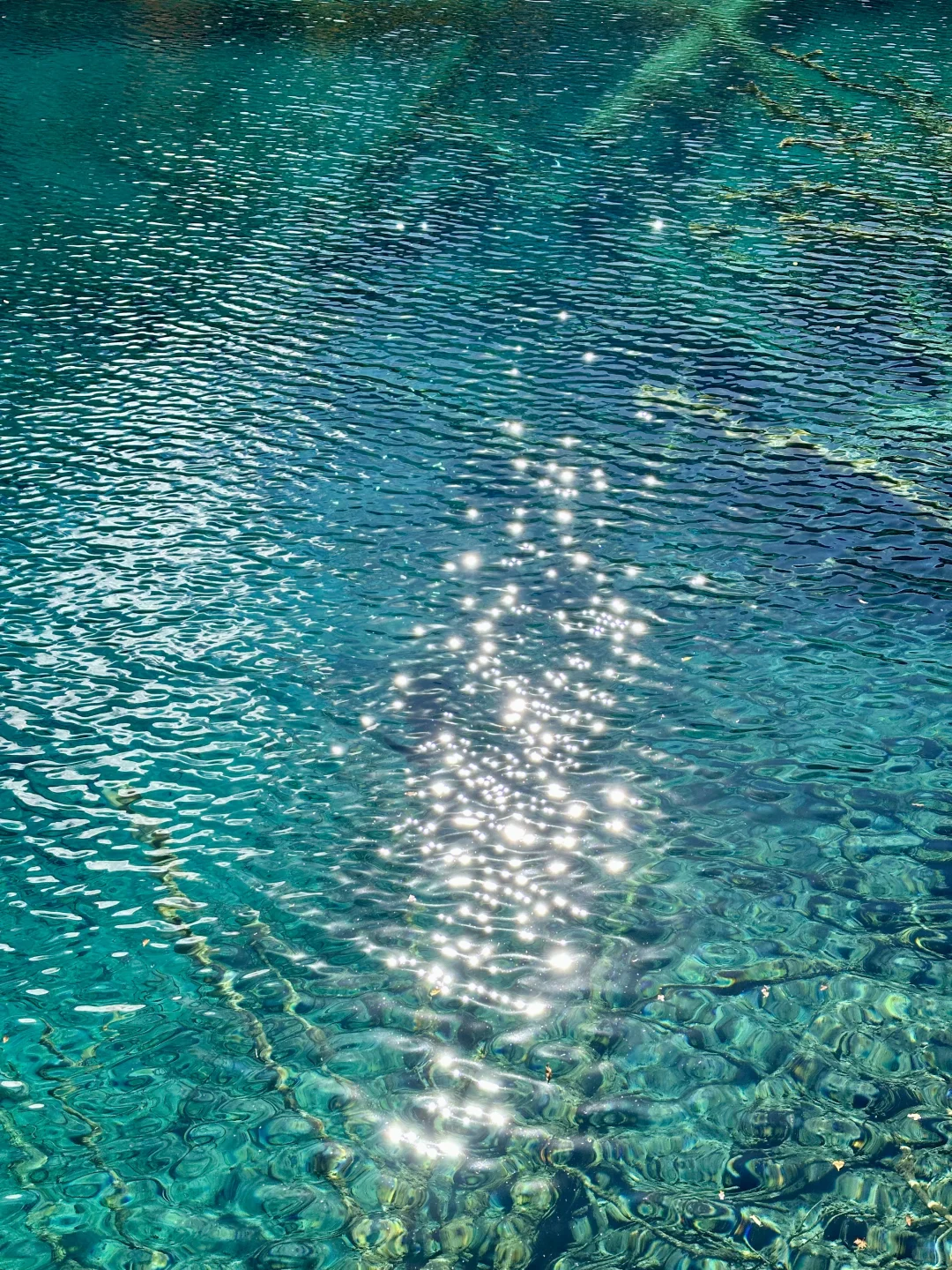 2025九寨沟,彩林最后的盛宴,明年再见👋🏻