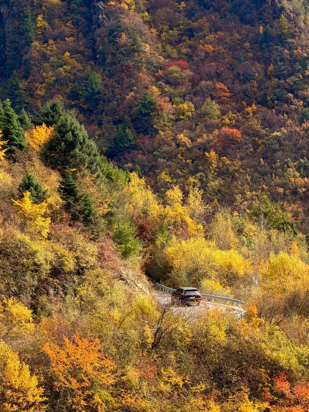 春秋假活动来啦！一起来牛背山赏彩林观雪山